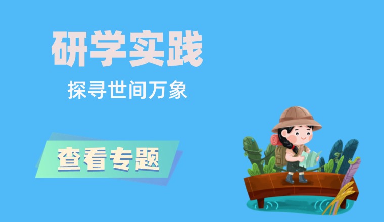 教学实践